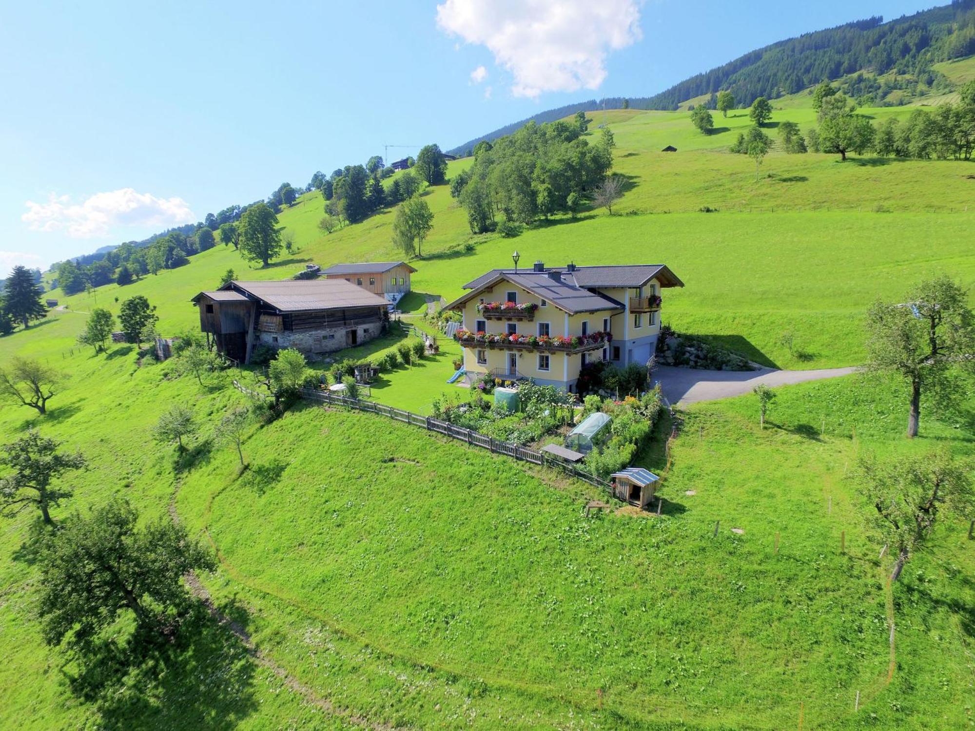 Cosy Holiday Flat In A Farmhouse Taxenbach Extérieur photo